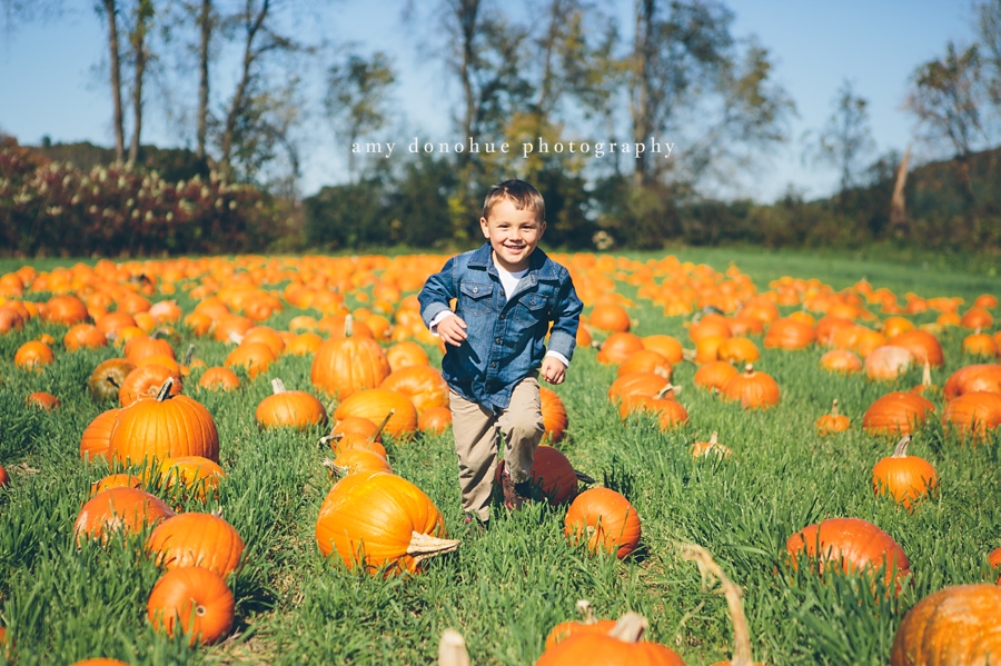 Portrait photography in the pumpkin patch Amy Donohue Photography-5894