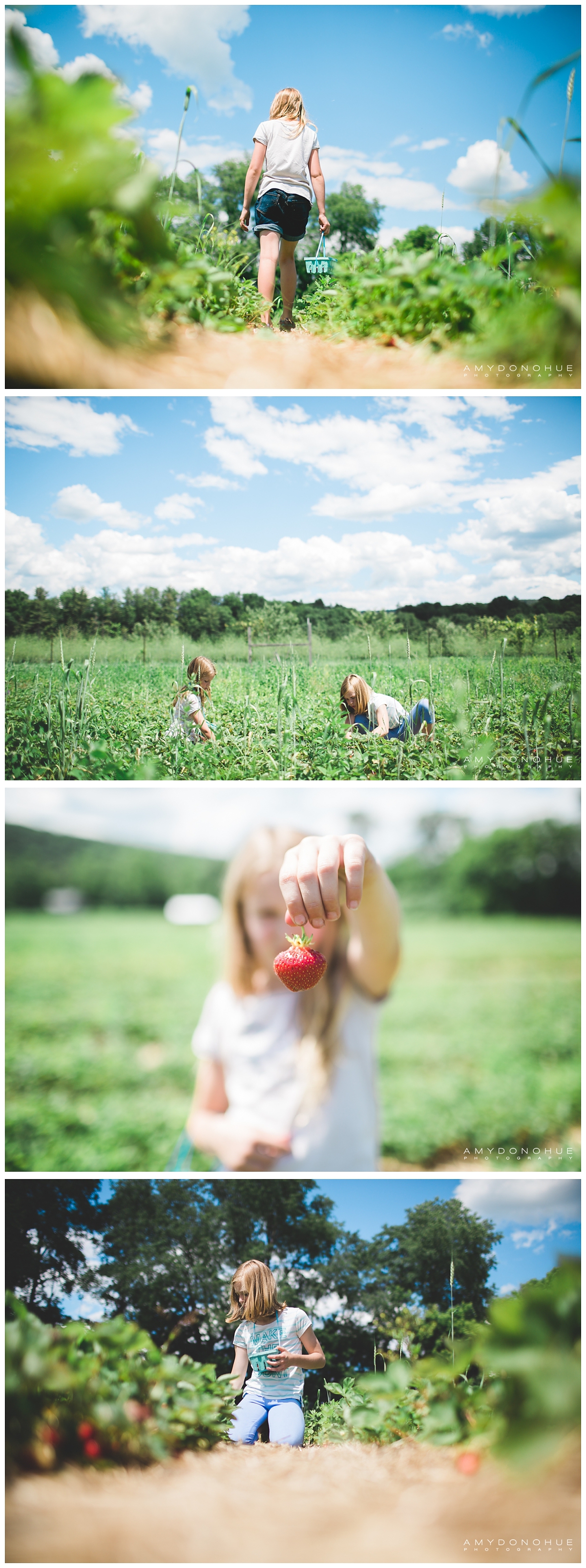 Cedar Circle Farm | Amy Donohue Photography