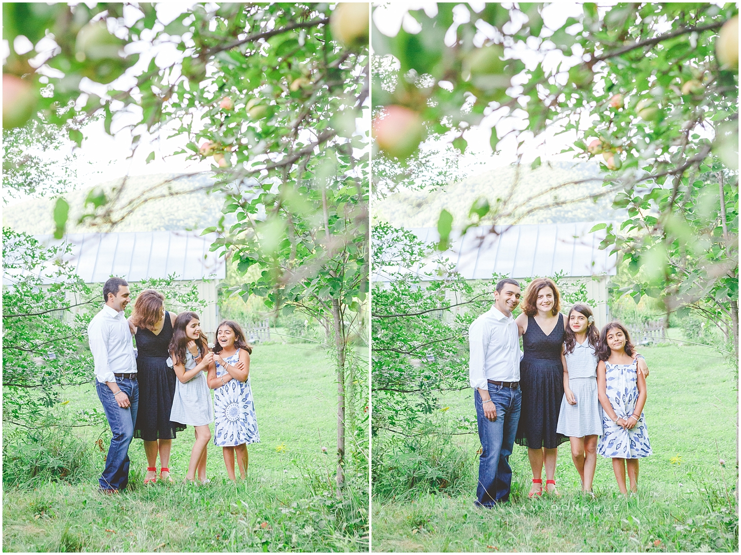 Family Portraits | Strafford, Vermont | Amy Donohue Photography