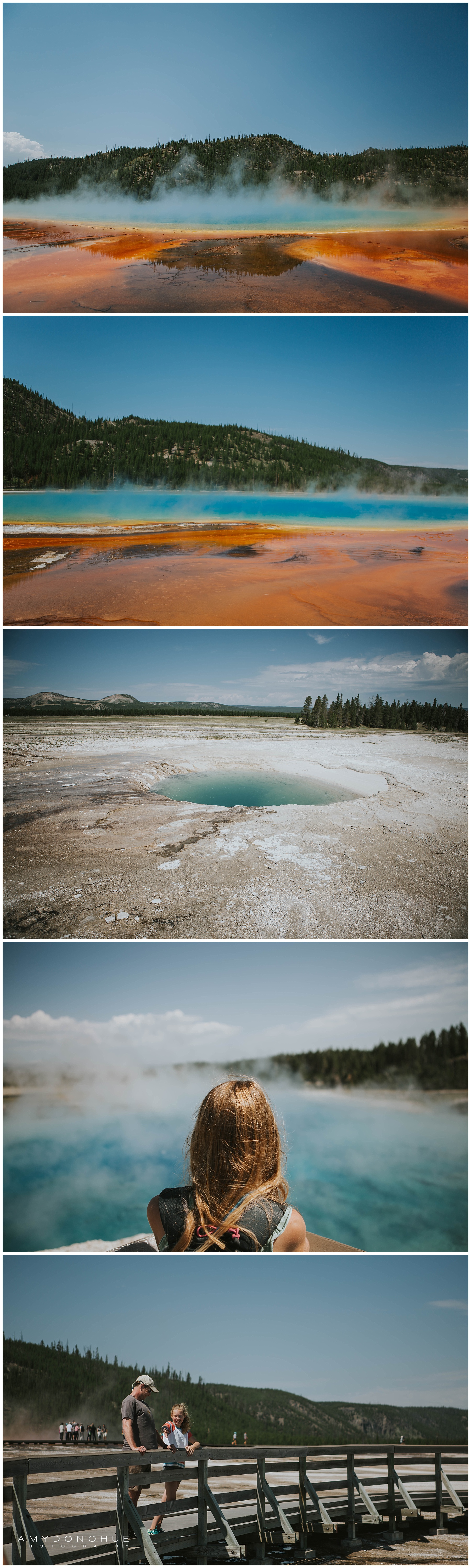 © Amy Donohue Photography | Yellowstone National Park