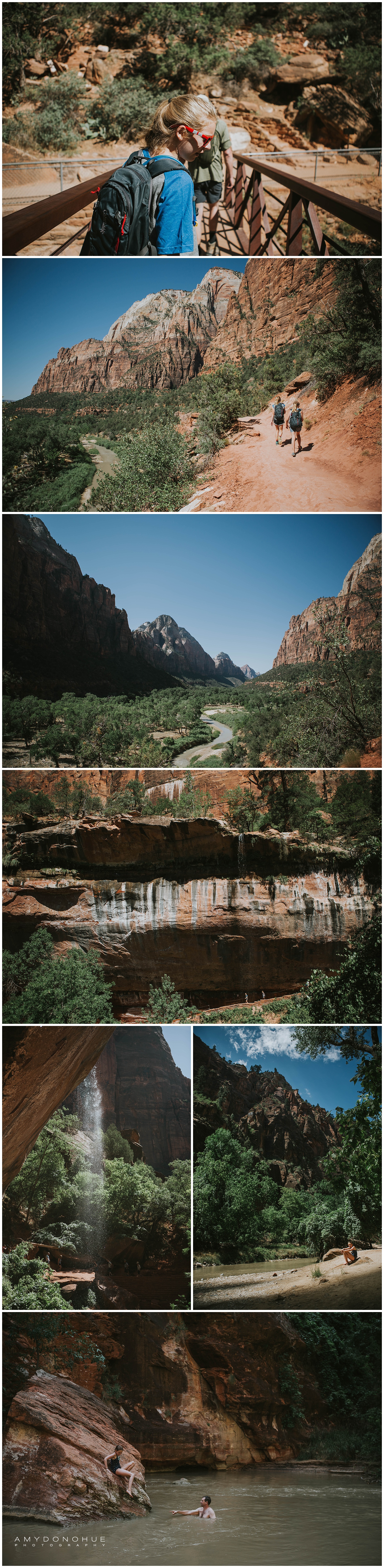 © Amy Donohue Photography | Zion National Park
