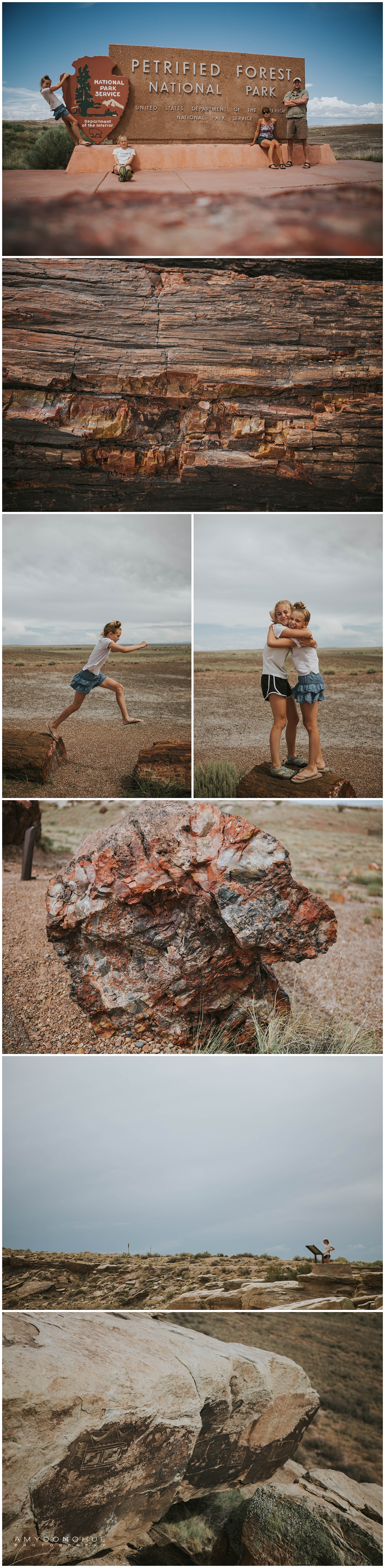 © Amy Donohue Photography | Petrified Forest National Park