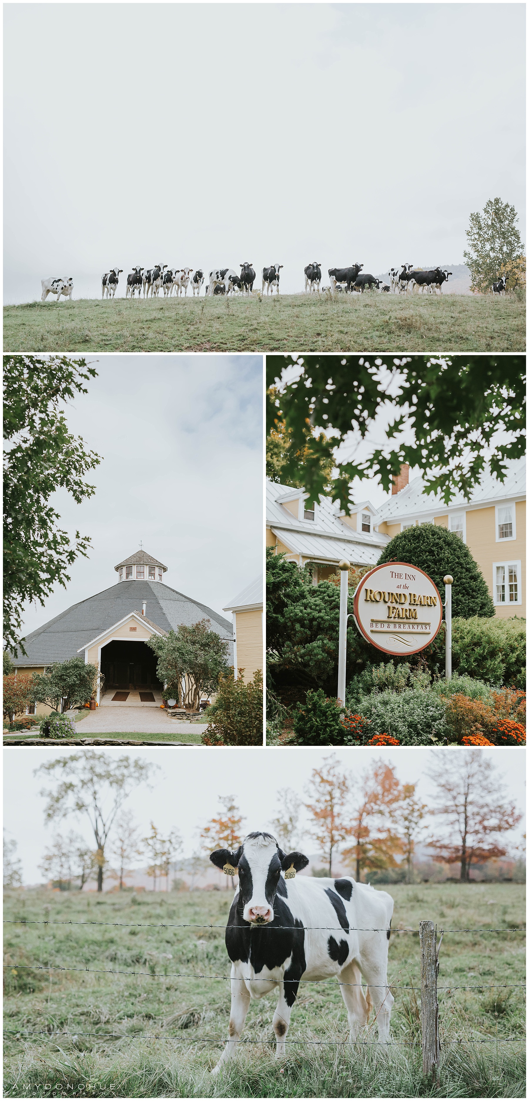 Wedding Venue | The Inn at Round Barn Farm | © Amy Donohue Photography