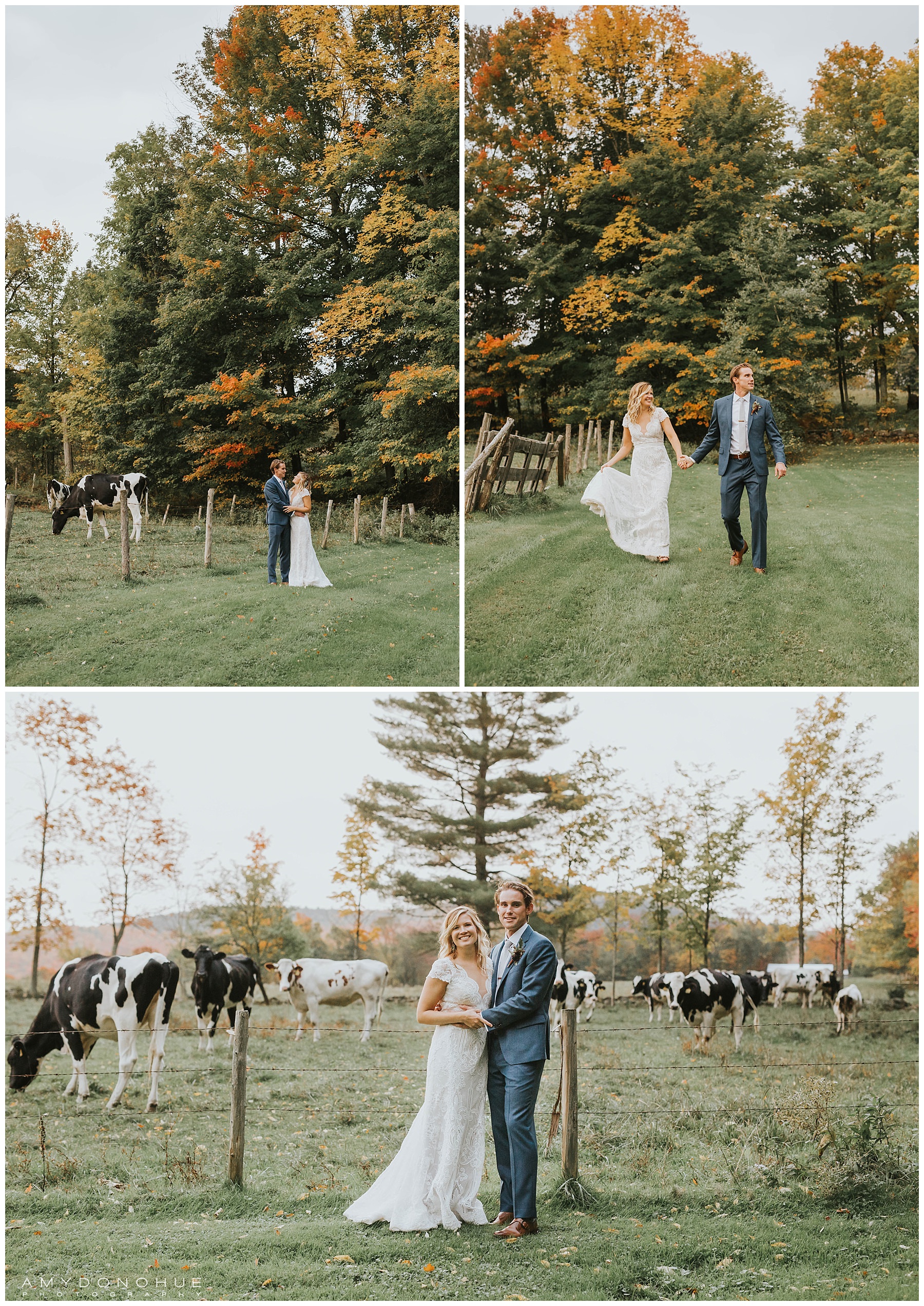 Just Married Portraits | The Inn at Round Barn Farm | © Amy Donohue Photography