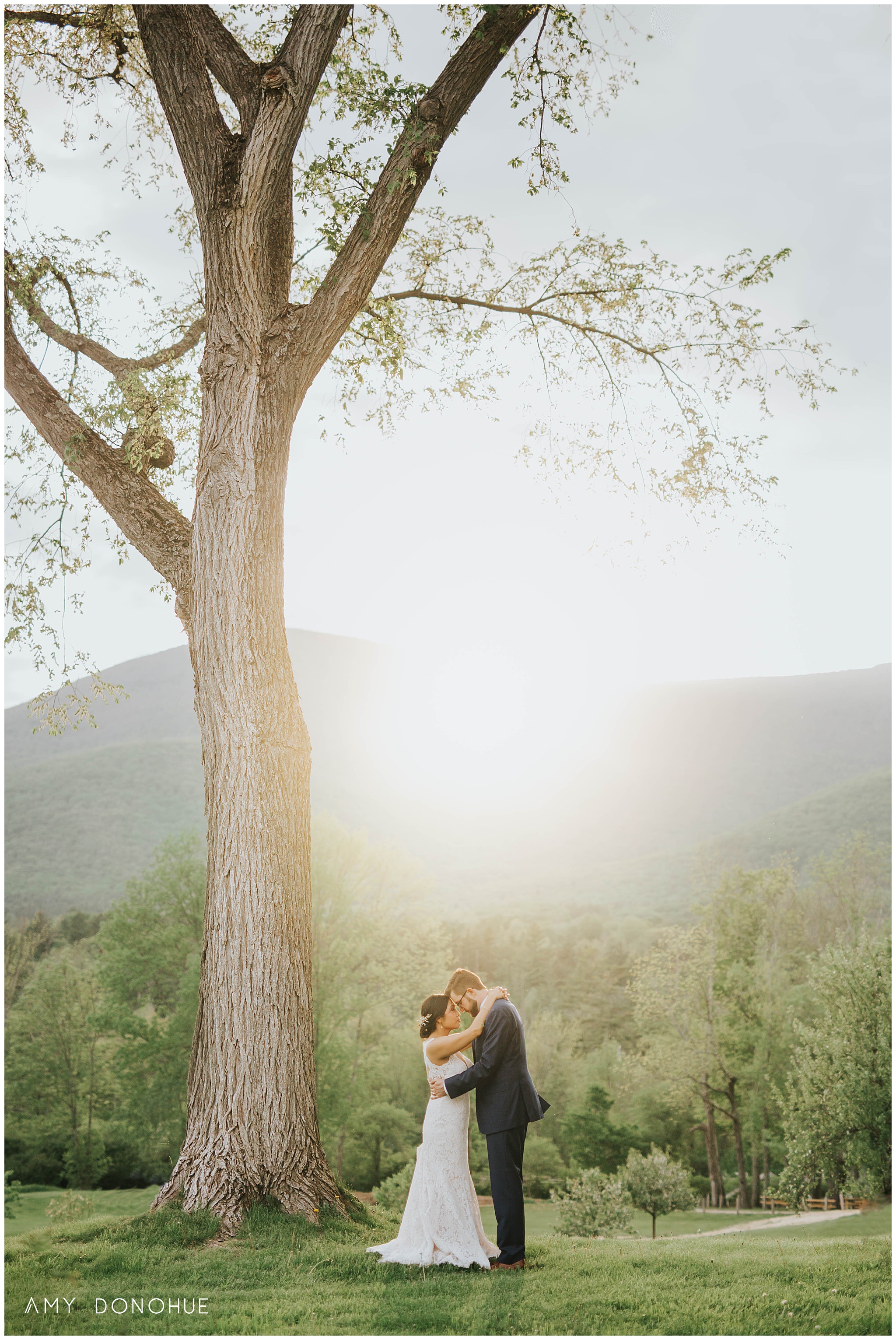 Romantic Bride and Groom portraits in beautiful light at The Hildene in Manchester, Vermont