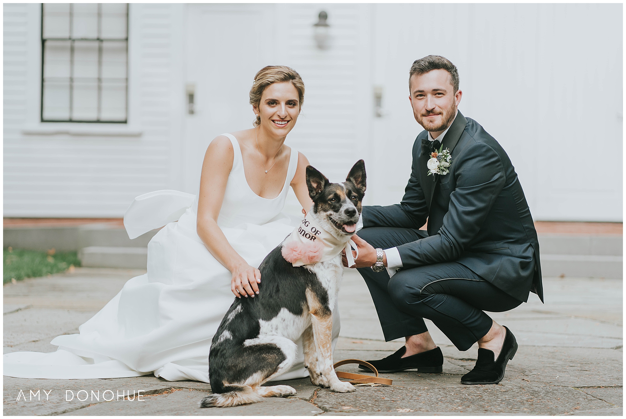Bride and Groom Portraits with their dog | Woodstock Inn & Resort | Vermont Wedding Photographer | © Amy Donohue Photography