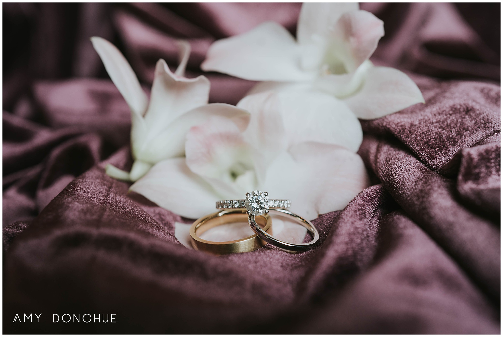 Wedding Rings | New Hampshire Wedding Photographer | Church Landing at Mill Falls, New Hampshire | © Amy Donohue Photography