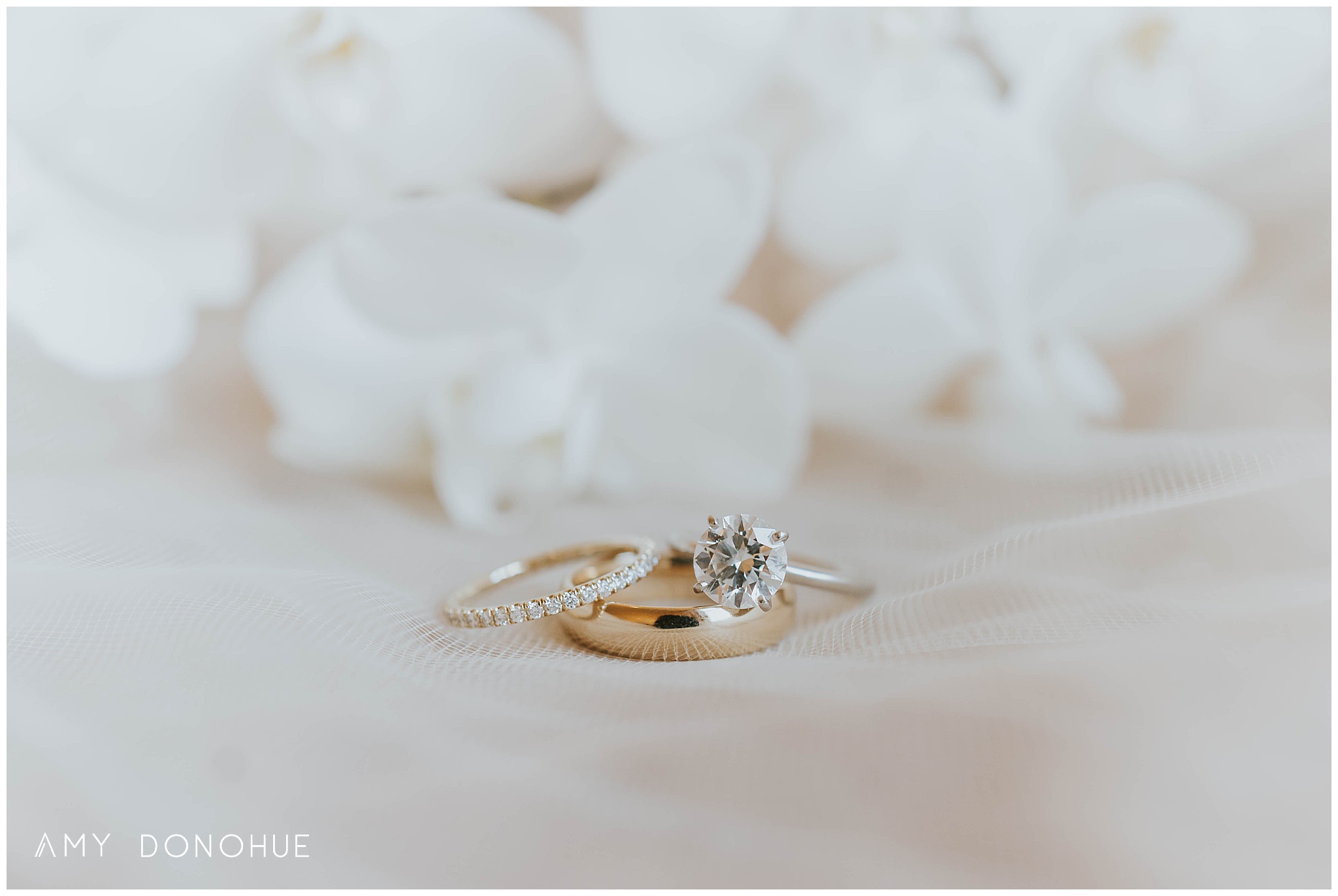 Wedding Rings | Vermont Wedding Photographer | Woodstock Inn & Resort Vermont | © Amy Donohue Photography